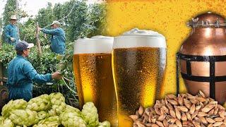 Beer. Traditional process of making this drink | Lost Trades | Documentary film