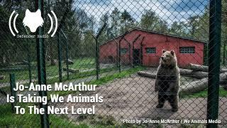 Jo-Anne McArthur Is Taking We Animals To The Next Level