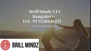 Mobile App Development company   BrillMindz