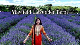 Mayfield Lavender Farm # London # England # Uk