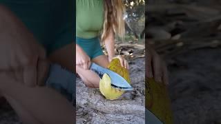 COCONUT opening, DEADPOOL style! ️ Survival Skills #survival #bushcraft #camping #outdoors