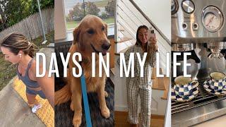 VLOG: 9 mile run, Brody's vet appt, snack haul w/ Lucy, etc.