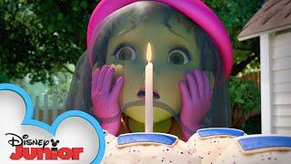 Happy Birthday in French! | Music Video | Fancy Nancy | Disney Junior