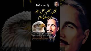 Yaqeen Mohkam , Amal Peham , Mohabbat Faateh-E-Alam | Bang-e-Dra 163 #allamaiqbal #iqbaliyat #poetry