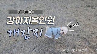 개간지 | 강아지패딩 올인원 PUP00 우주패딩