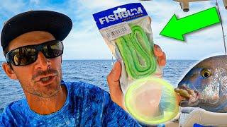 Using FISH GUM for Bait! - Offshore Fishing