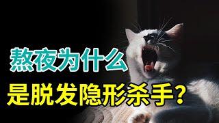 【脱发常识】熬夜脱发真相 | 长期紧张状态为什么会危害头发健康？