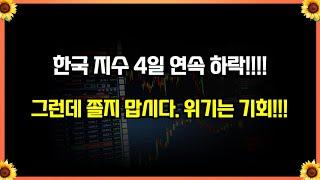 2024년 11월 14일 내일의 관심종목