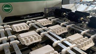 Automatic In-Line Hotpress Egg Carton Machine