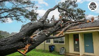 Dangerous Fastest Idiots Cutting Tree Fails Skill With Chainsaw | Tree Falling on Houses #16