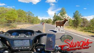 Indian Pursuit vs Elk!! | Road to Sturgis 2022 | Day 2