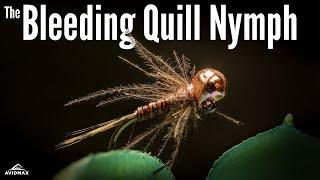 How to tie the Bleeding Quill Nymph | Fly Tying Tutorial