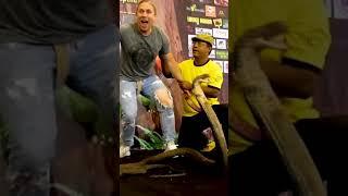 KISSING A KING COBRA!!!! #SHORTS | BRIAN BARCZYK