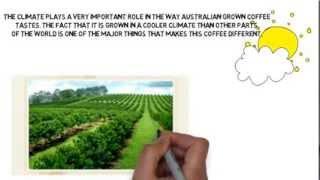 Australian Grown Organic Coffee | Byron Beans