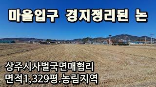 (1034)상주시 사벌국면 매협리. 마을입구 경지정리된 논 1329평. 매매가1억9천만원. 농림지역