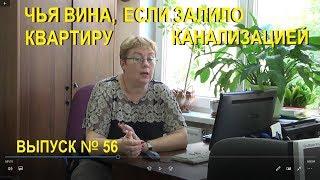 Чья вина, если произошел залив канализацией Выпуск №56