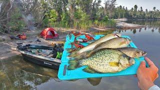 3 Days Camping, Fishing, and Eating What I Catch on Remote Canadian Island