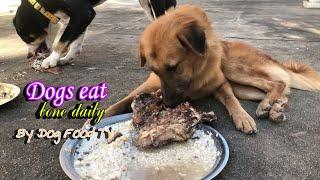 Dogs eat bone daily episode 335| By Dog Food TV