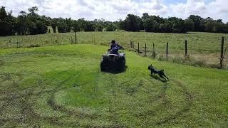 ripping the lawn with the 2017 400cc