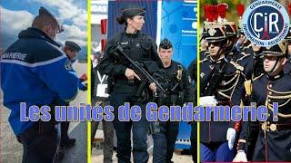 TOUT SAVOIR SUR LA GENDARMERIE !