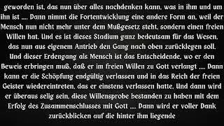 GANG VON DER TIEFE BIS ZUM LICHTWESEN .....