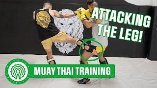 Muay Thai Low Kick Series - 3 Ways to Build off Low Kicks with Amir Ghassemi