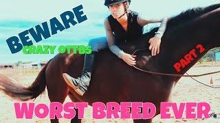 HOW TO HANDLE CRAZY OTTBS [PART 2] || COLLAB