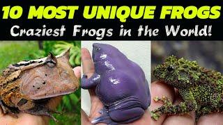 The TEN (10) MOST Unique and Strangest Frogs In The World! Super Crazy Looking Frogs Will Shock You!