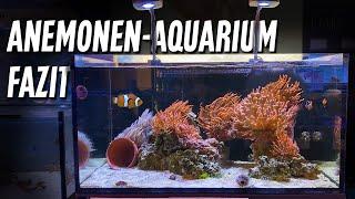 Fazit zum ANEMONENAQUARIUM - PlanktonPlus Aquaristik