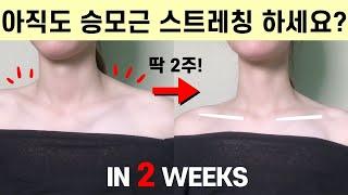 80만명이 효과를 본 승모근 없애는 운동, 일자어깨 직각어깨 만들기