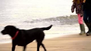 Walking on the Northumberland Coast