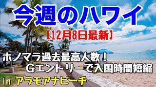 【今週のハワイ１２月８日最新版】１週間のハワイ情報をまとめてお届けこれを見ればハワイの今がわかる！！