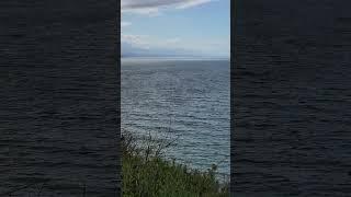 Wind and waves rushing across the Salish Sea. #nature #ocean