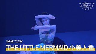 The Little Mermaid at the Tianqiao Theater: "A World-Level Performance That Shows NBC's Spirit!"