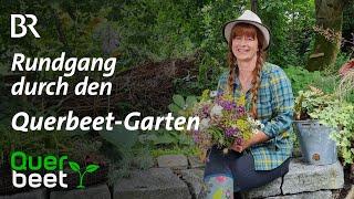 Ein Rundgang durch den Querbeet-Garten