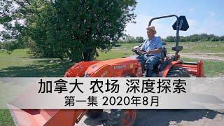 加拿大农场探索1-瓜果农场（2020年8月）