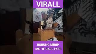 VIRAL BURUNG MIRIP MOTIF BAJU PGRI DI HARI GURU NASIONAL 2024