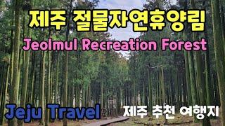 제주 절물자연휴양림 /Jeolmul Recreation Forest /Jeju Travel Guide/Things to do in Jeju/제주추천여행지 /걷기좋은길