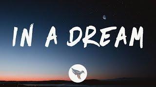 Man Cub feat. SVRCINA - In A Dream (Lyrics)