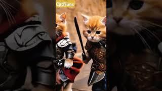 badmashi story cat ai #aicat #catlover @catmomo178 #shorts #youtubeshorts