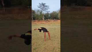 amazing view #combo flips #cheat gainer #entertainment  #bhs #make a viral #youtube shorts ️