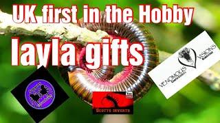 A first in the Hobby and gifts from jagger's tarantulas