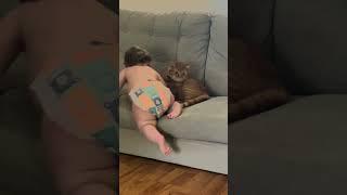 Baby Tries to Sit With Cat on Couch