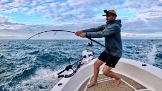 Fishing An Uninhabited Coastline