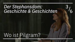 Der Stephansdom: Wo ist Pilgram?