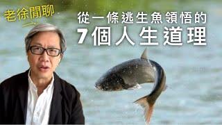 由一條「成功逃生的魚」發展出來的7個人生道理｜老徐閒聊