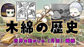 コットンの歴史  グローバル資本主義を作ったっぽい繊維作物