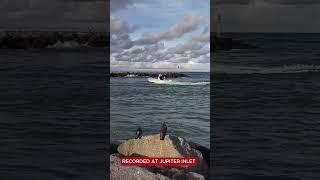 4K BOATS AT JUPITER INLET IN 4K #roughinlets #boats