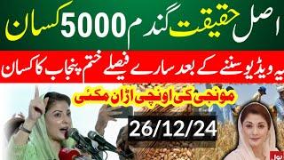 Big گندم میں اچانک اضافہ  Wheat price in punjab/گندم  کا ریٹ 2024/ makki till sarso/Gallasuper munji