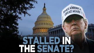 Trump's Agenda THREATENED In Senate, Faces Calls to SCRAP The 'Big, Beautiful Bill' | DC FOCUS